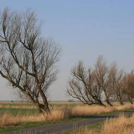 酒店 Krabbe Von 3*