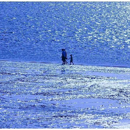 Krabbe Von 3* Greetsiel