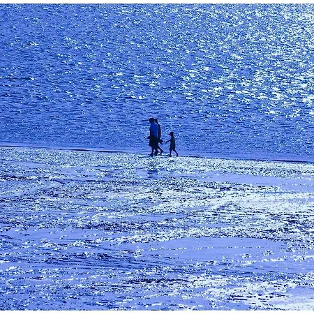 Krabbe Von 3* Greetsiel