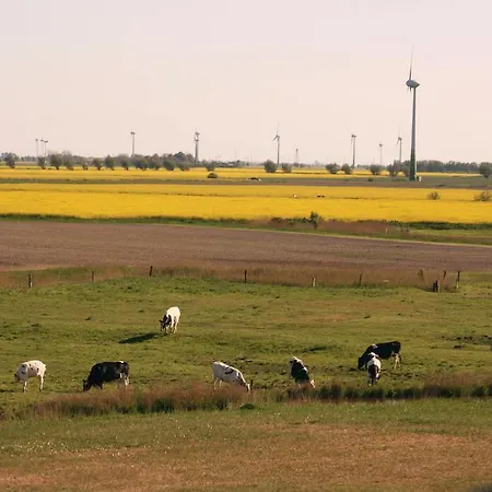 Krabbe Von 酒店 特希尔