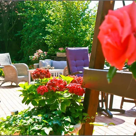 酒店 Krabbe Von 特希尔